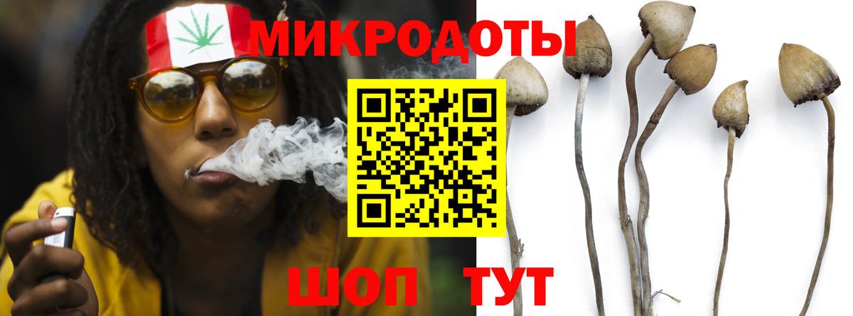 Галлюциногенные грибы MAGIC MUSHROOMS Отрадное